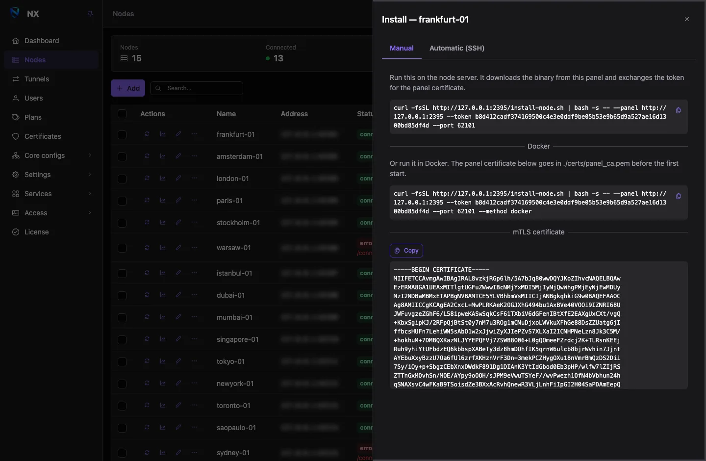 A node's Install drawer: the Manual tab with the install command and the Automatic (SSH) tab