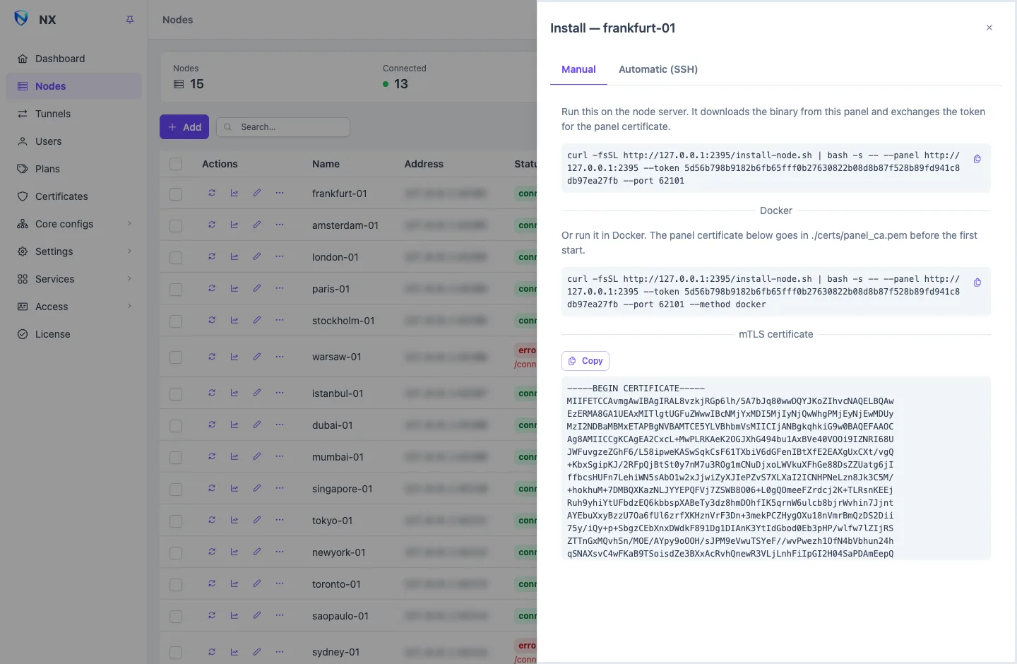 A node's Install drawer: the Manual tab with the install command and the Automatic (SSH) tab